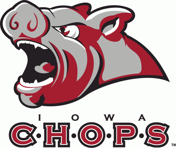 Iowa Chops 2008 09 Primary Logo iron on transfers for T-shirts